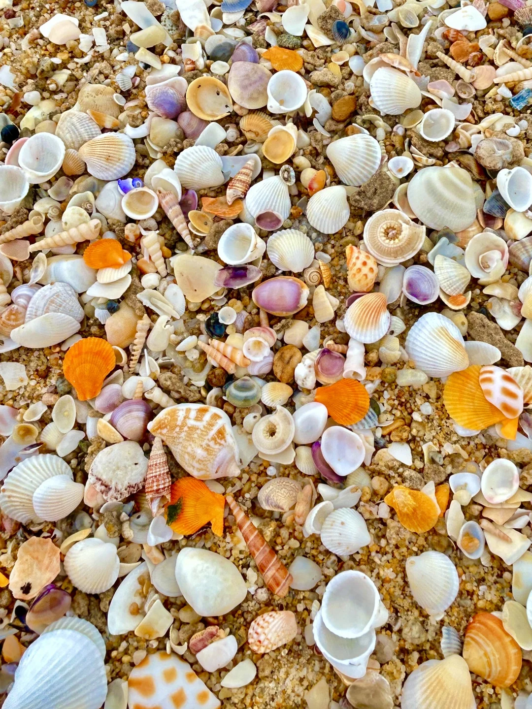 万宁2个赶海圣地🦀本地人都不知道的