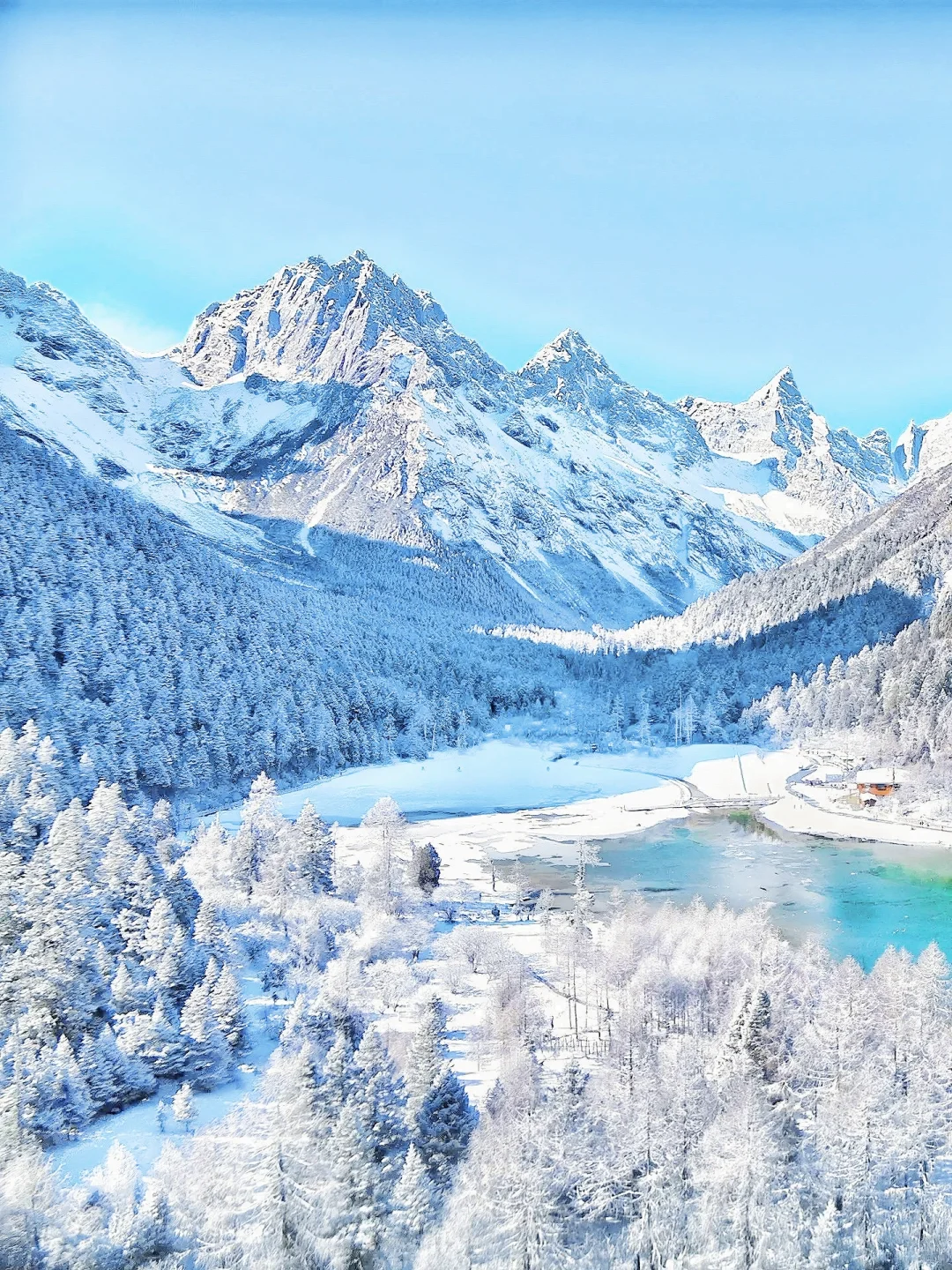 1.10📍毕棚沟豪赌成功！简直不要太美了！