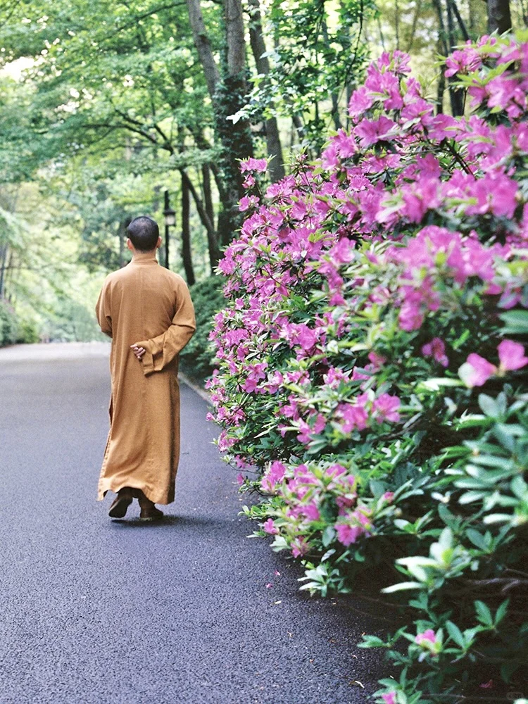 Welcome to Hangzhou-杭州的春夏秋冬