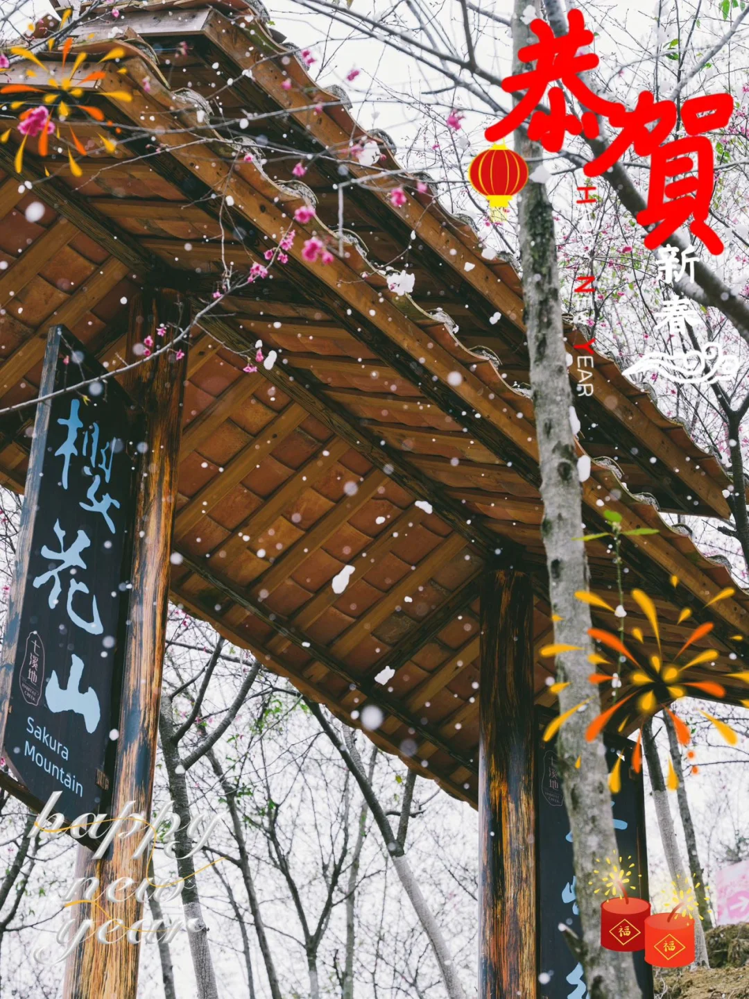 东莞1.5h🚗广州新春绝美赏樱路线分享🌸