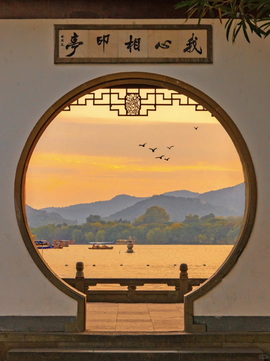 Welcome to Hangzhou-杭州的春夏秋冬