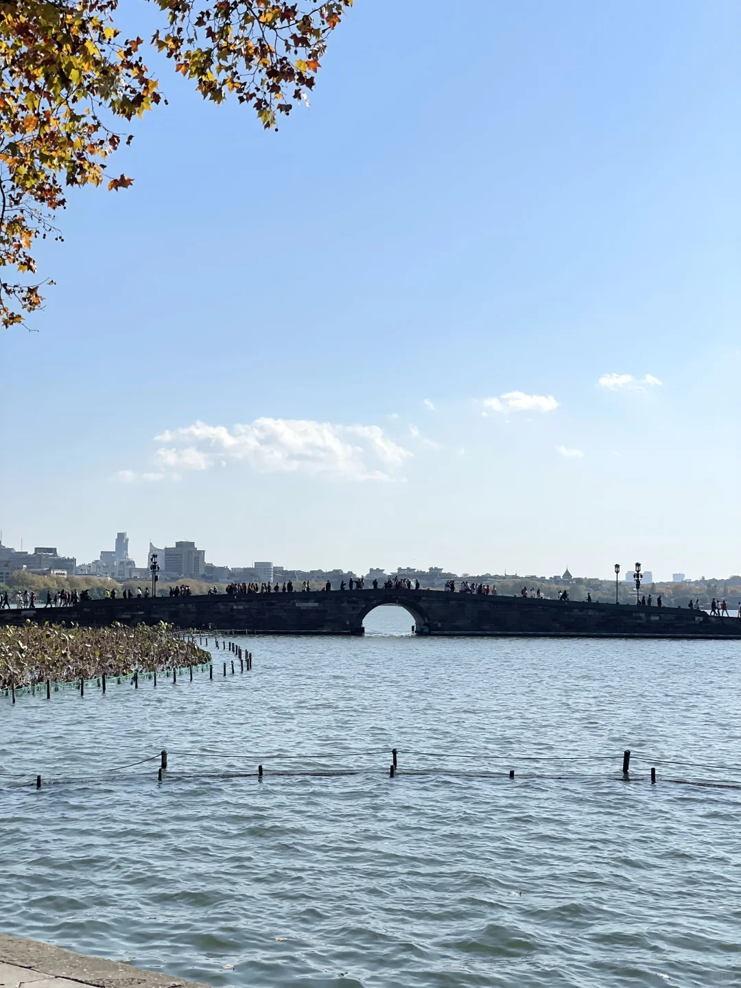 春节杭州旅游现状，说几句大实话❗