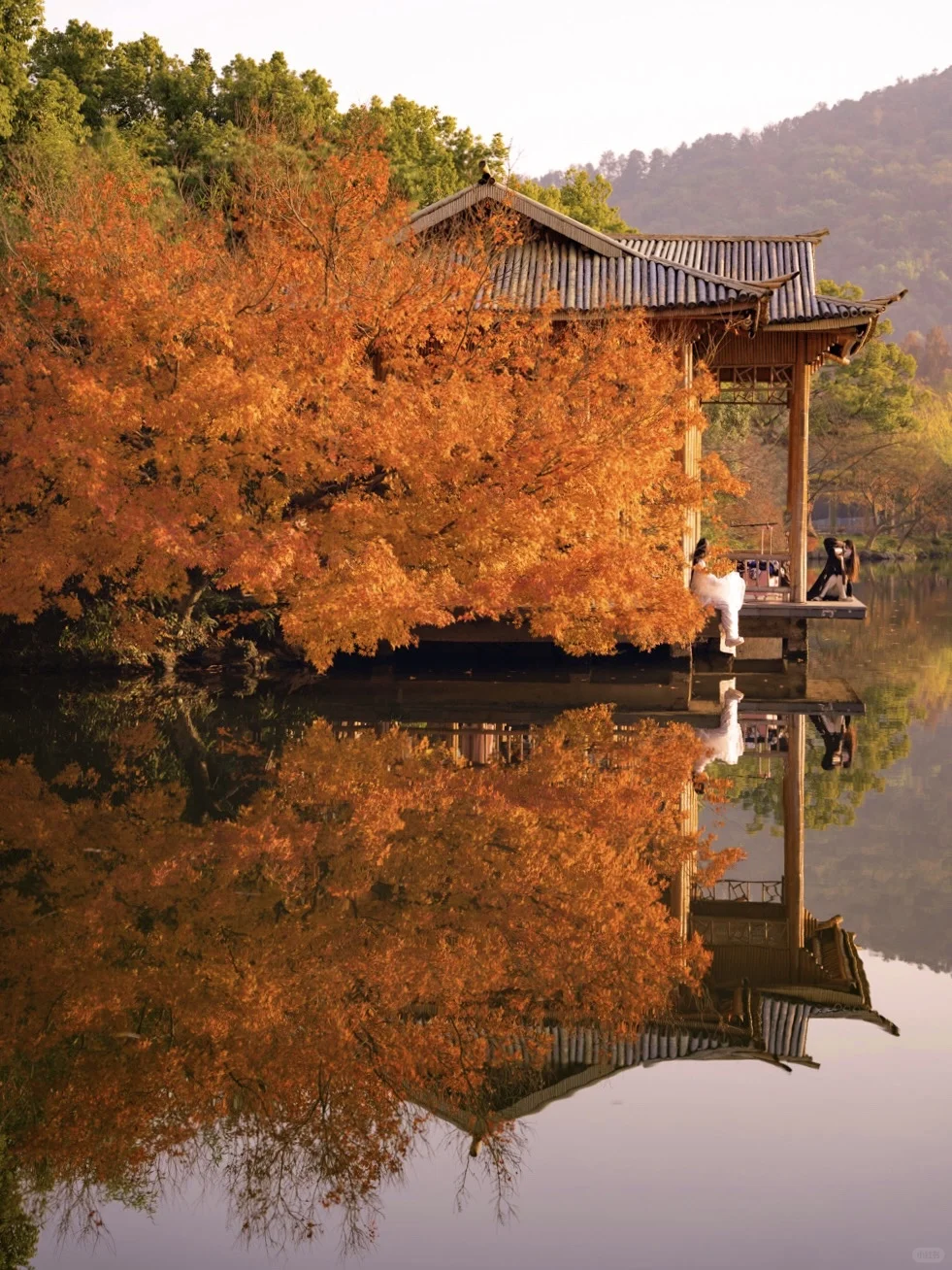 Welcome to Hangzhou-杭州的春夏秋冬