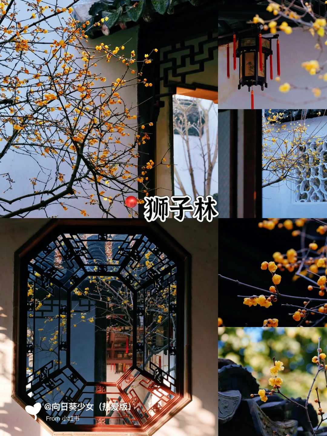 春节假期丨苏州旅游不要只知道拙政园‼️