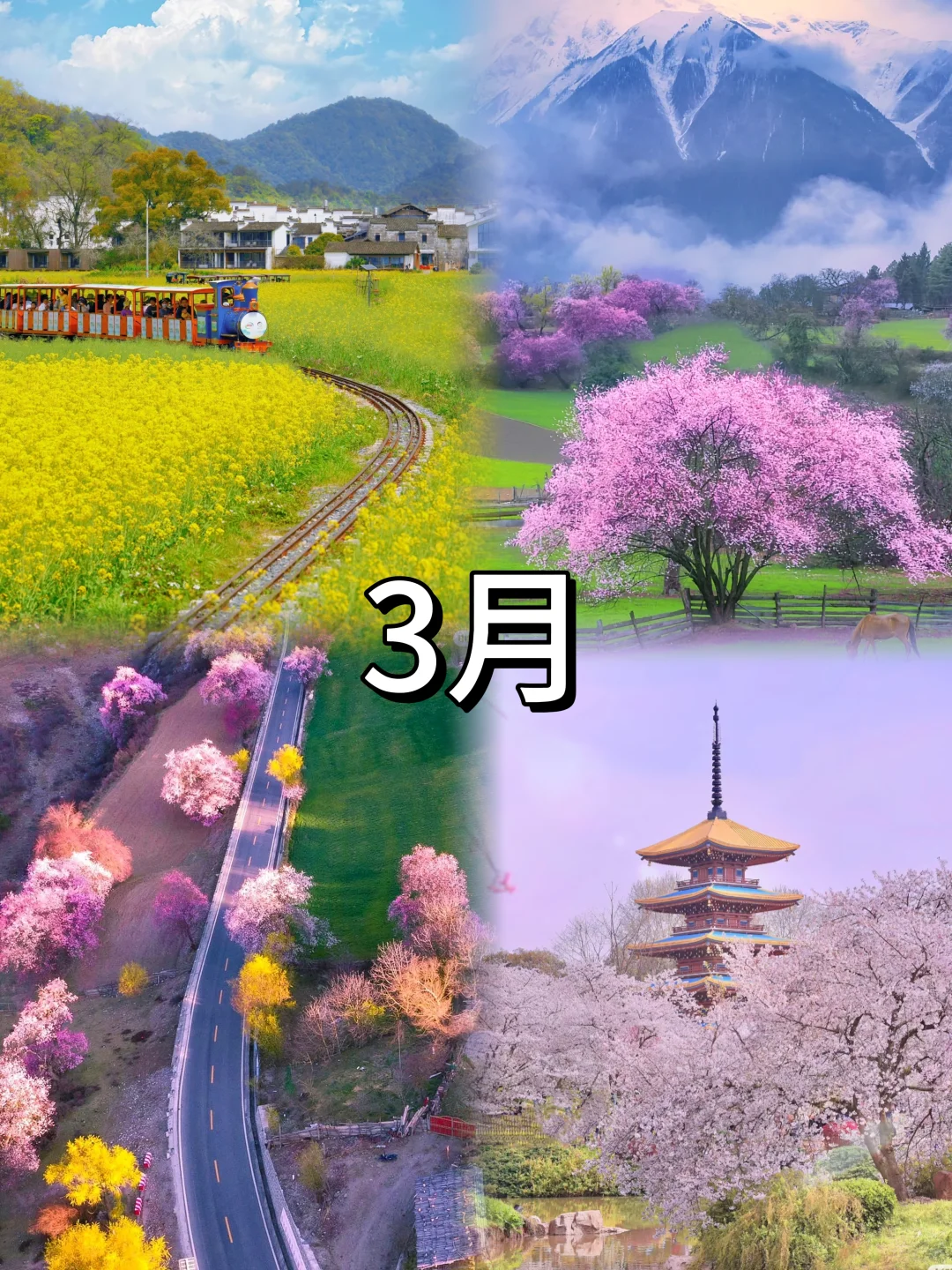 2025全年亲子旅行计划（1月-12月）超全面‼