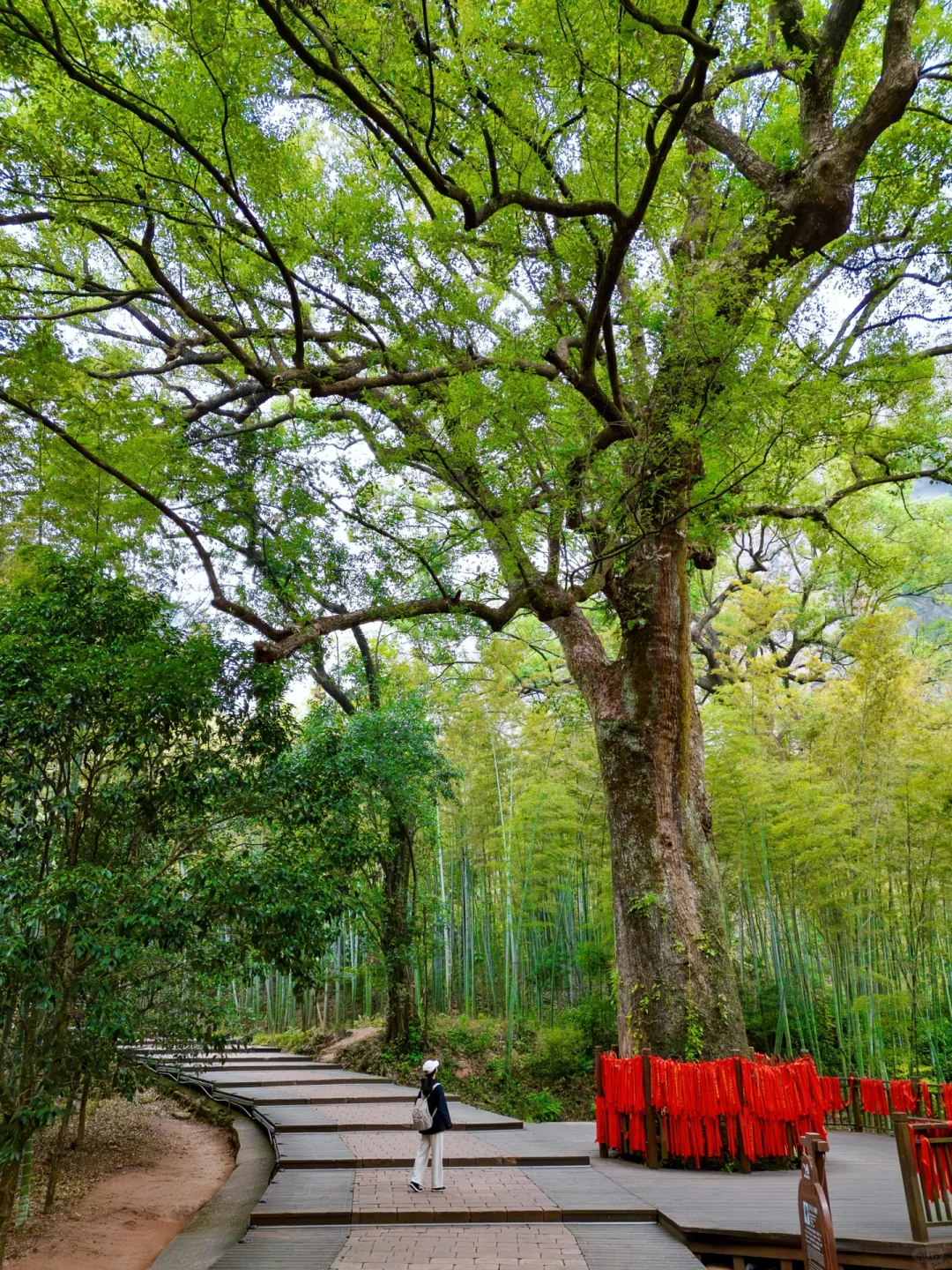 以为黄山很美了，直到我来了这个宝藏旅行地…