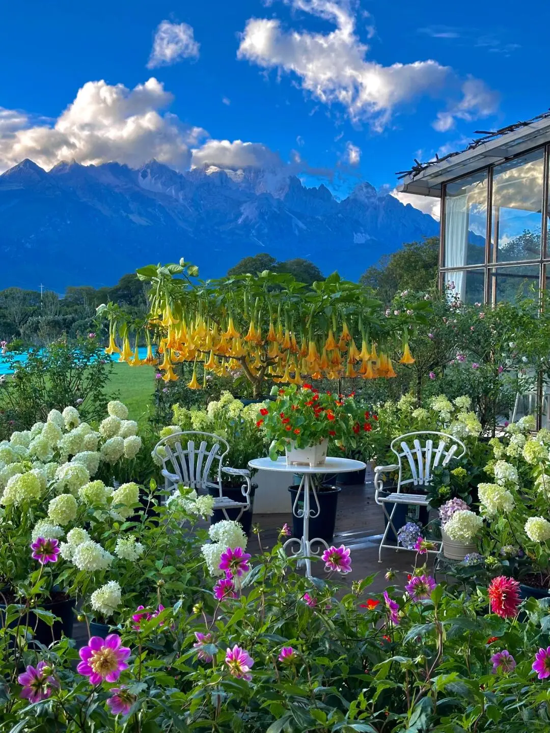 丽江淡季来了😭真的是游客天堂‼️