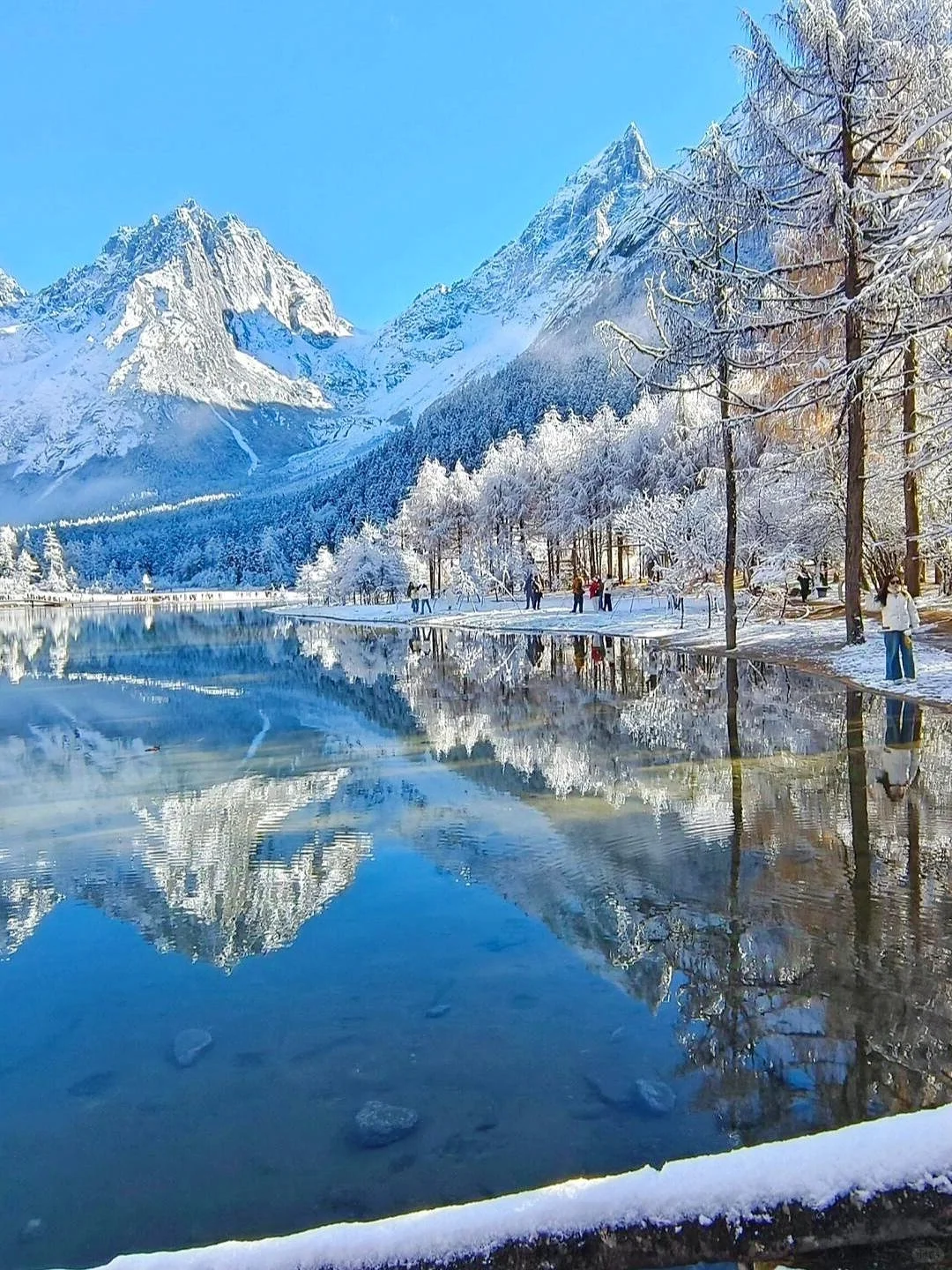 1.10📍毕棚沟豪赌成功！简直不要太美了！