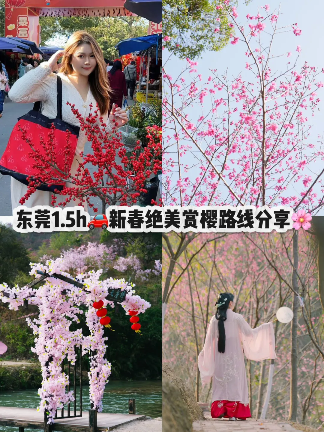东莞1.5h🚗广州新春绝美赏樱路线分享🌸