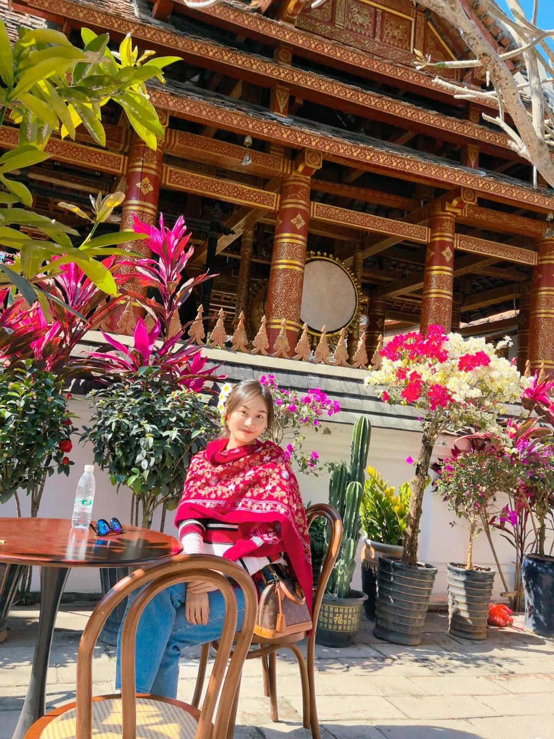 西双版纳🌴一定还会再去的宝藏暖冬小城‼️