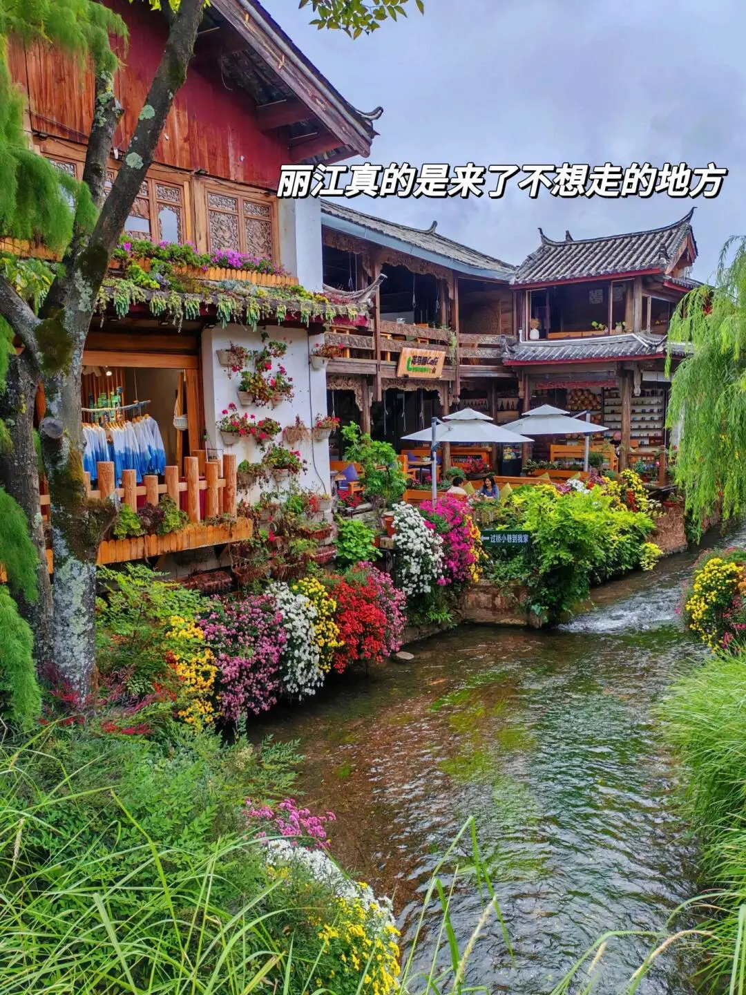 丽江淡季来了😭真的是游客天堂‼️
