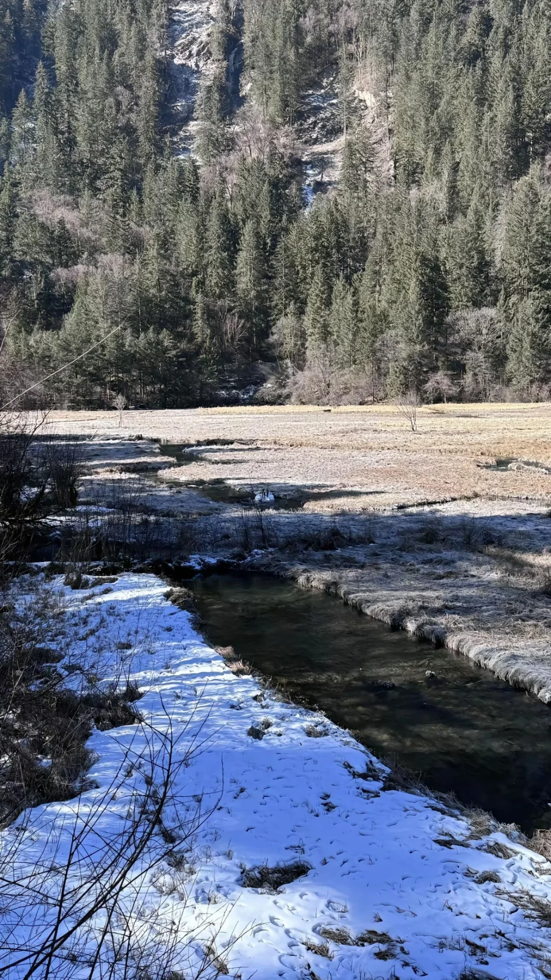 1.26📍九寨沟实拍直出，要去的赶紧听劝。。