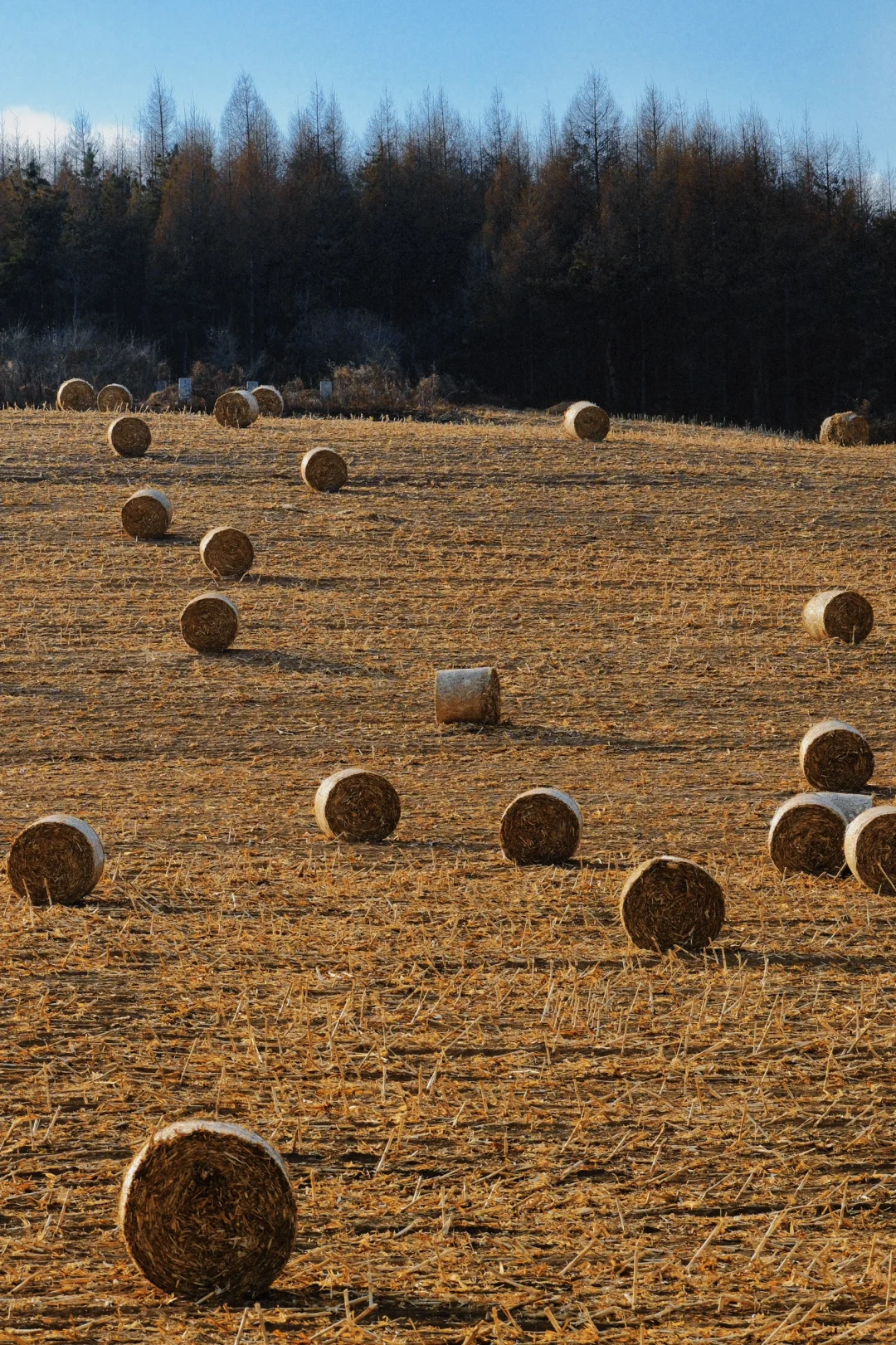 我宣布！！延吉是国内最值得去的城市！！
