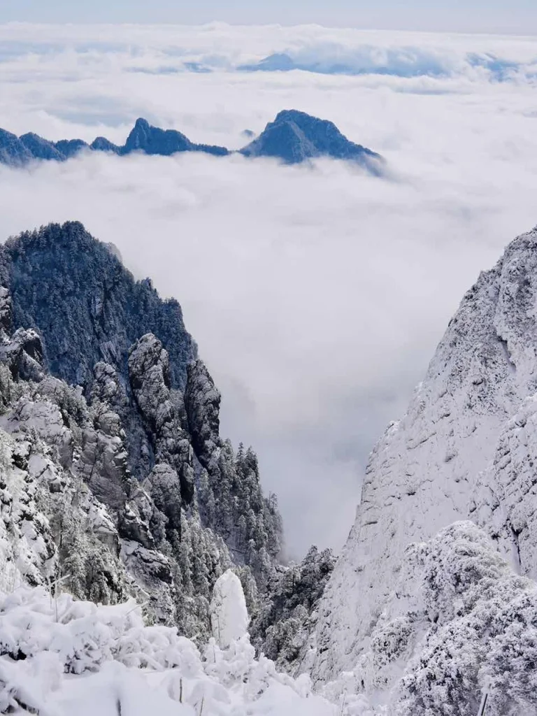 放弃东北了！广东300+直飞的神农架我先冲了