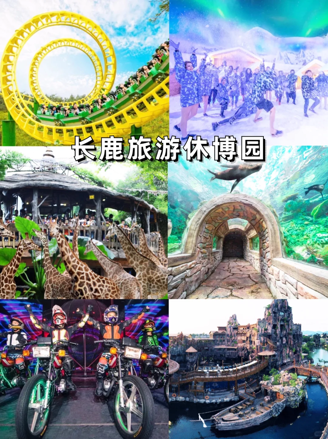 佛山春节旅游10大必去景点｜解锁岭南年味