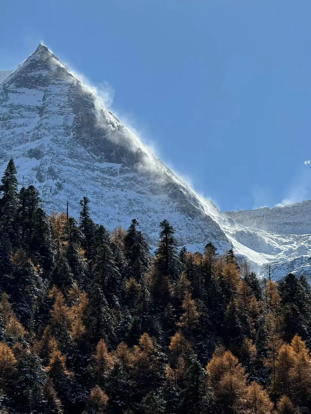📷九寨沟四姑娘山1300💰劝退不了一点！