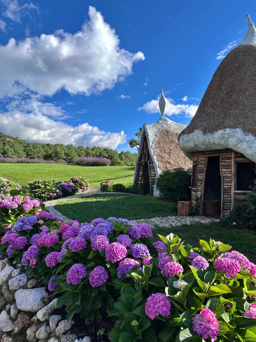 丽江淡季来了😭真的是游客天堂‼️