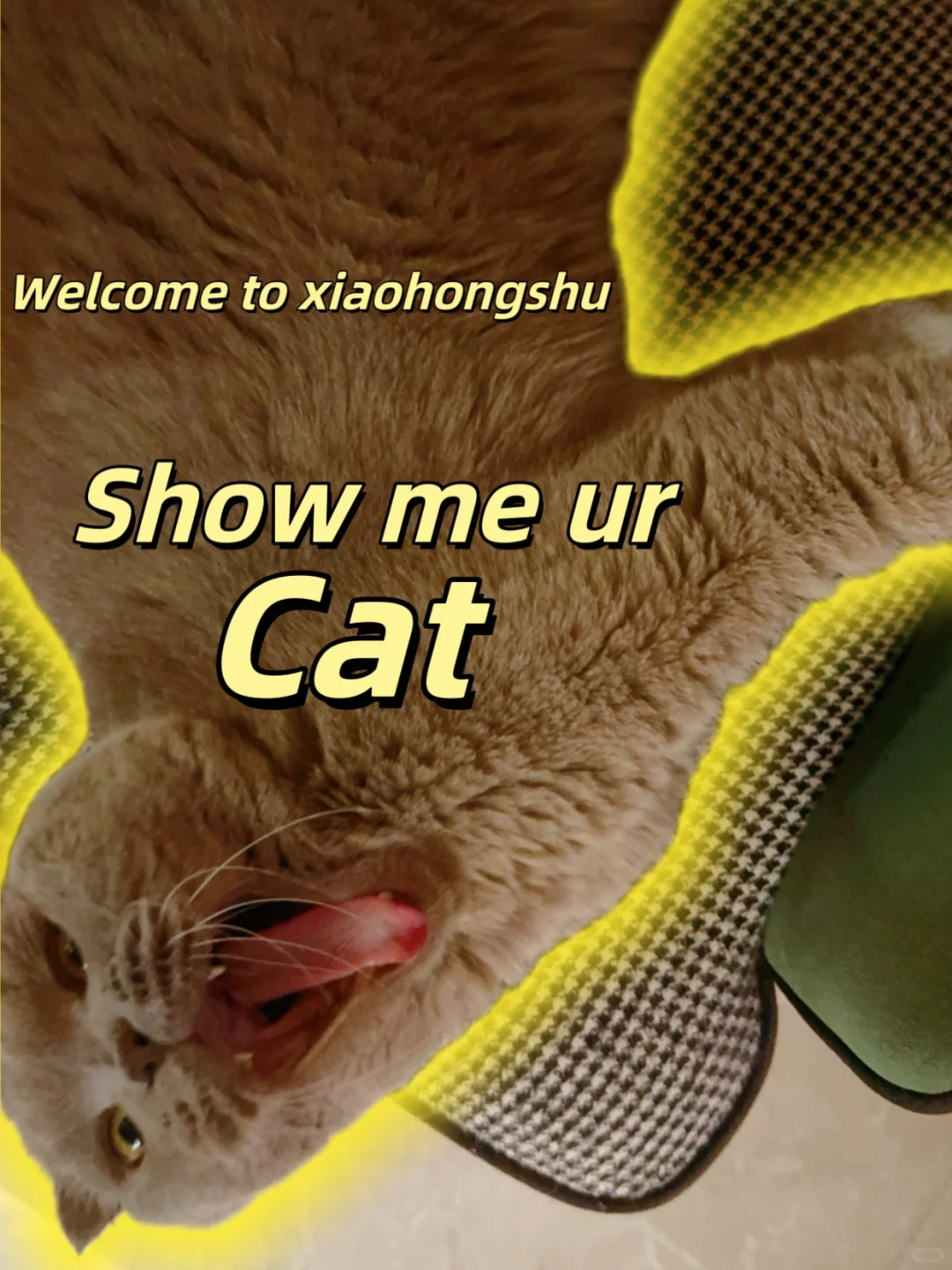 Explore Harbin-3 days travel itinerary❄️