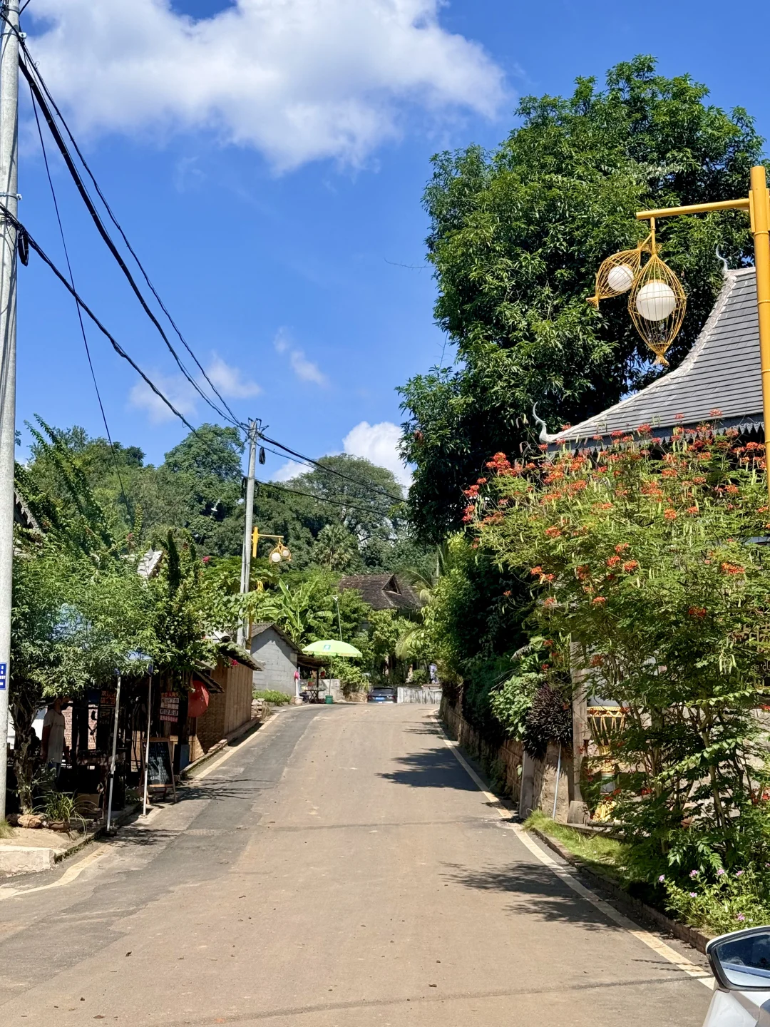 Live图的意义|曼远村就是向往生活的具象化