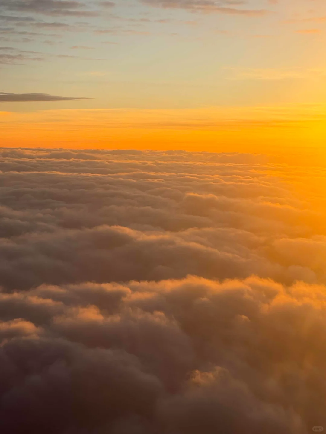 放弃东北了！广东300+直飞的神农架我先冲了