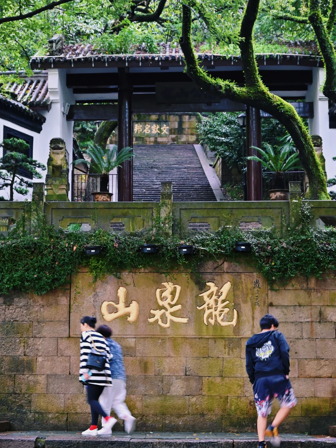 半天逛完浙江余姚7个景点的懒人版citywalk