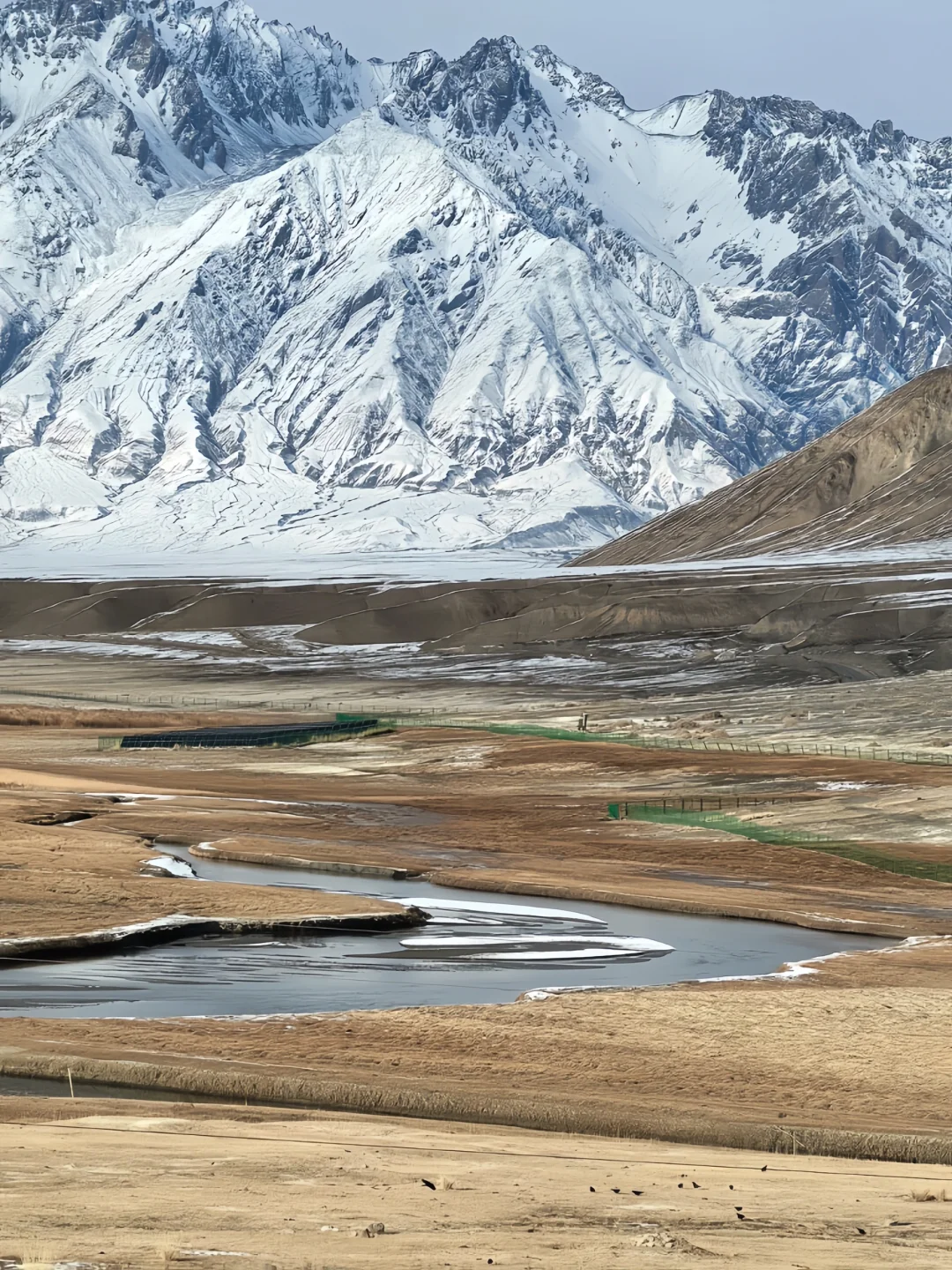 已经开始期待3-4月南疆的杏花啦！