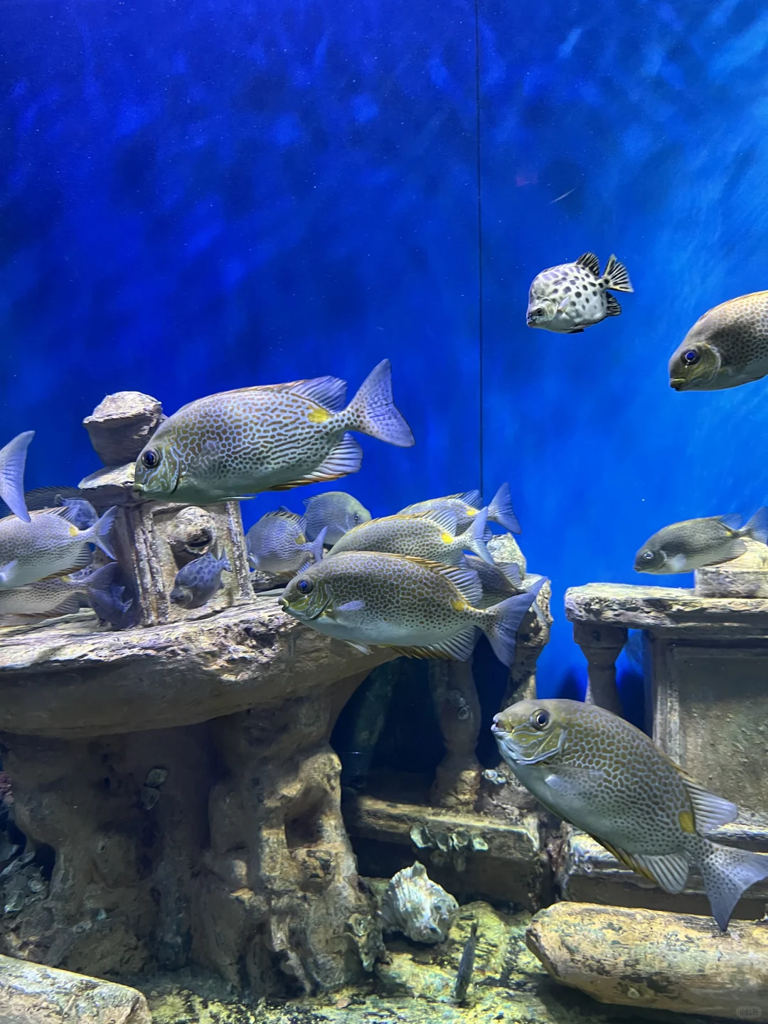 谁懂啊！在北海旅游原来得看地图路线攻略😭