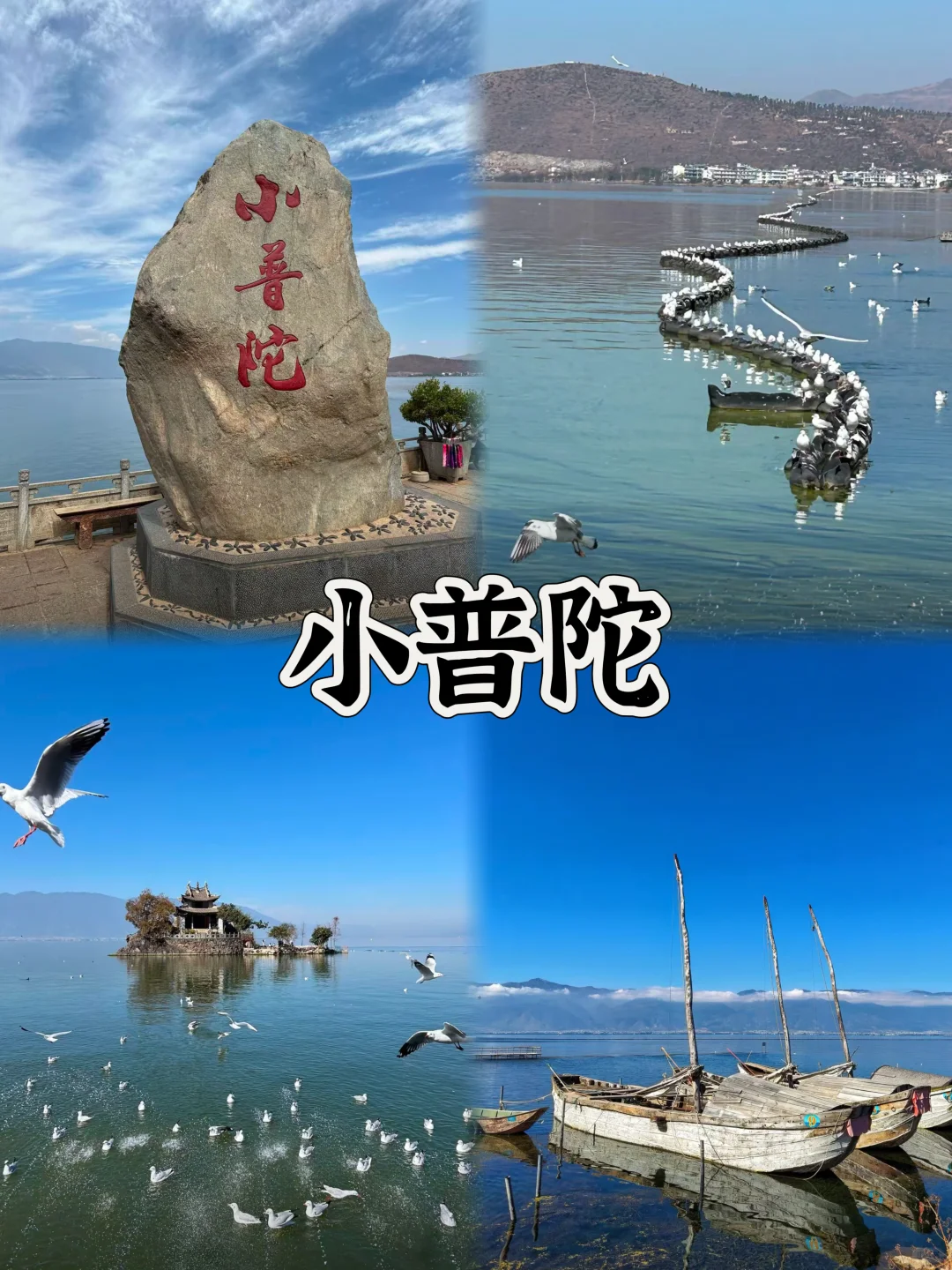 03女大📍大理/两日游不走回头路线攻略❗️