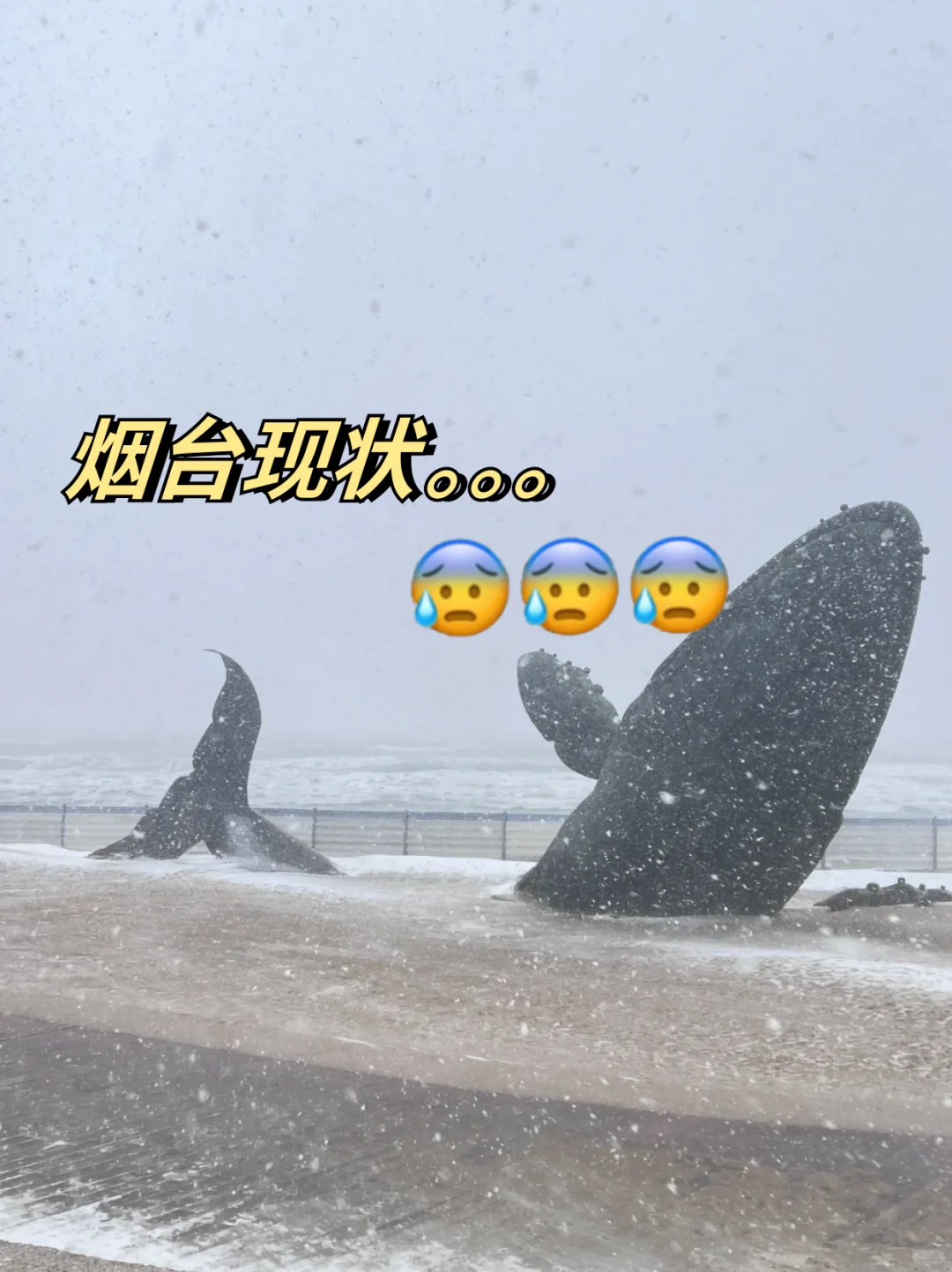 1月份烟台现状，想去的姐妹们进来听劝‼️