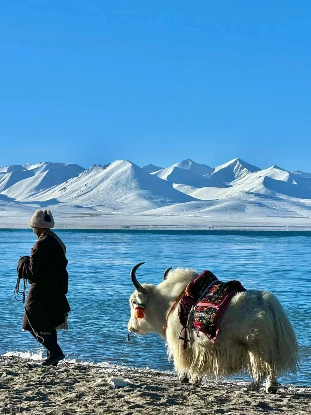 春节打算去西藏的，能劝一个算一个❗❗