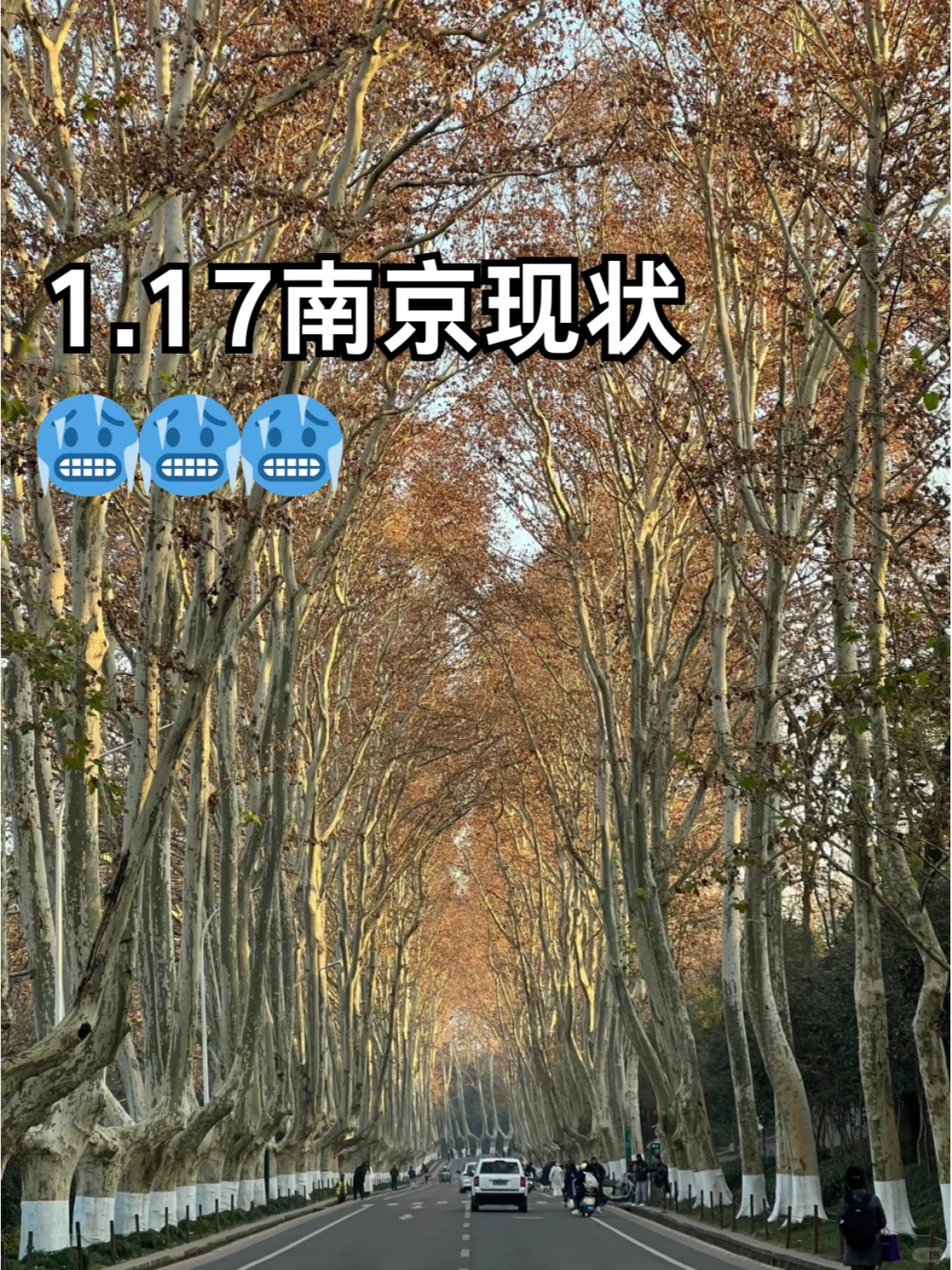 📍1.17南京已回，真被南京的天气折磨疯
