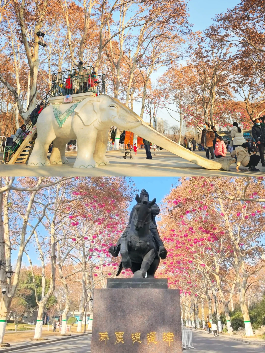 寒假反向旅游｜合肥亲子游详细攻略