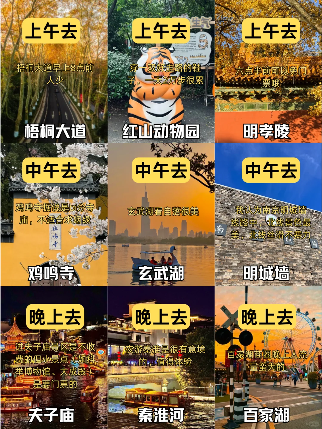 熬了两夜😳南京旅游攻略给姐妹们准备好啦