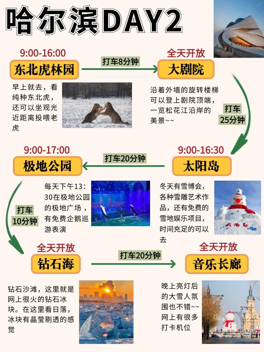 好详细‼️1-2月去哈尔滨✈️看这篇就够了