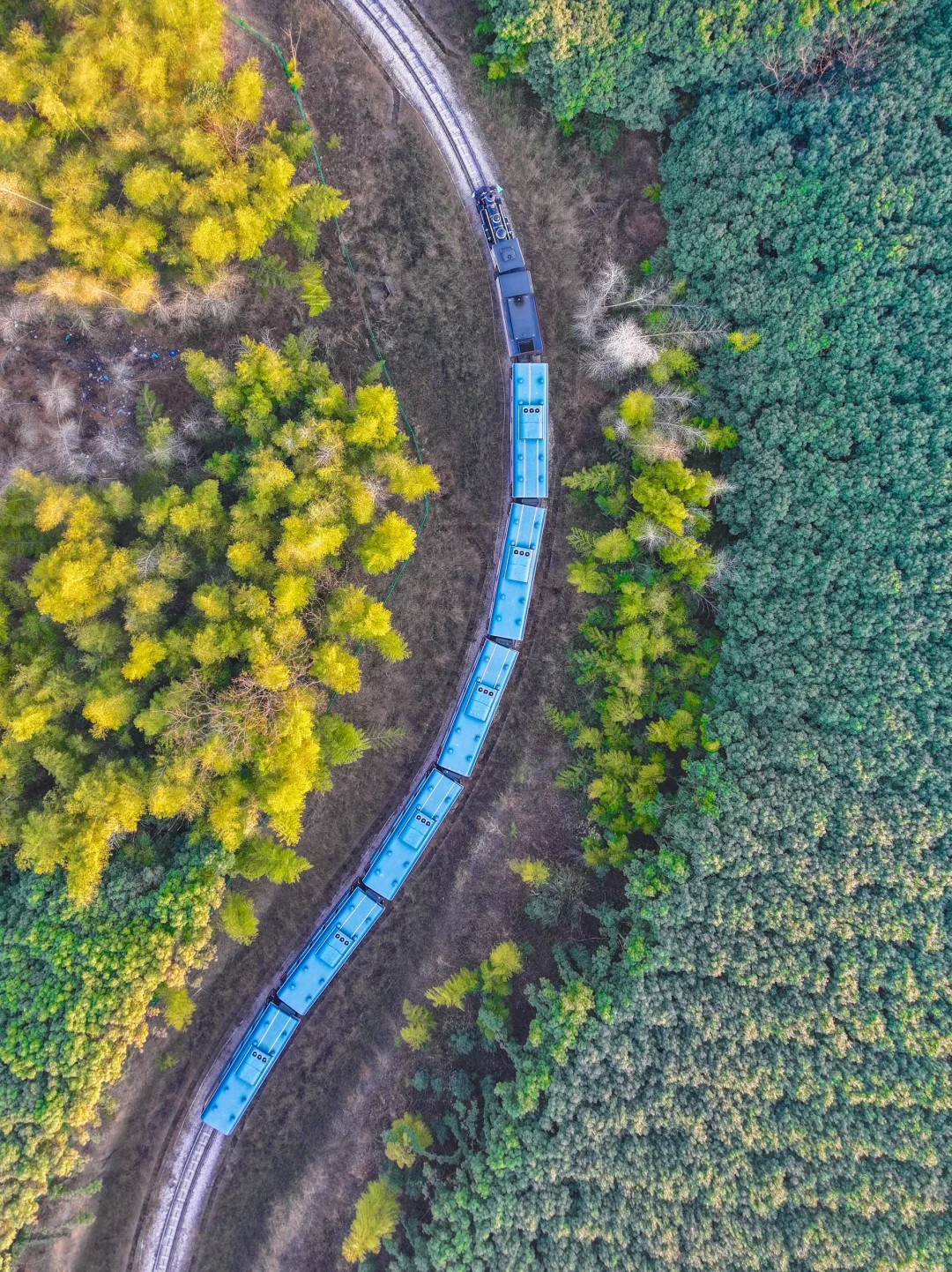 今年为止,我最喜欢的旅游小镇出现了‼