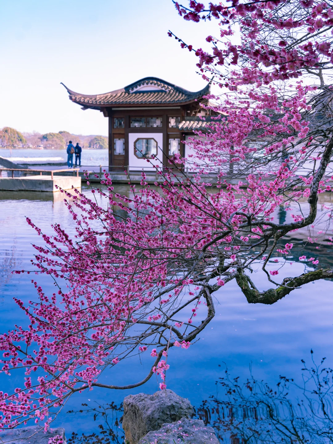 Welcome to Hangzhou-杭州的春夏秋冬