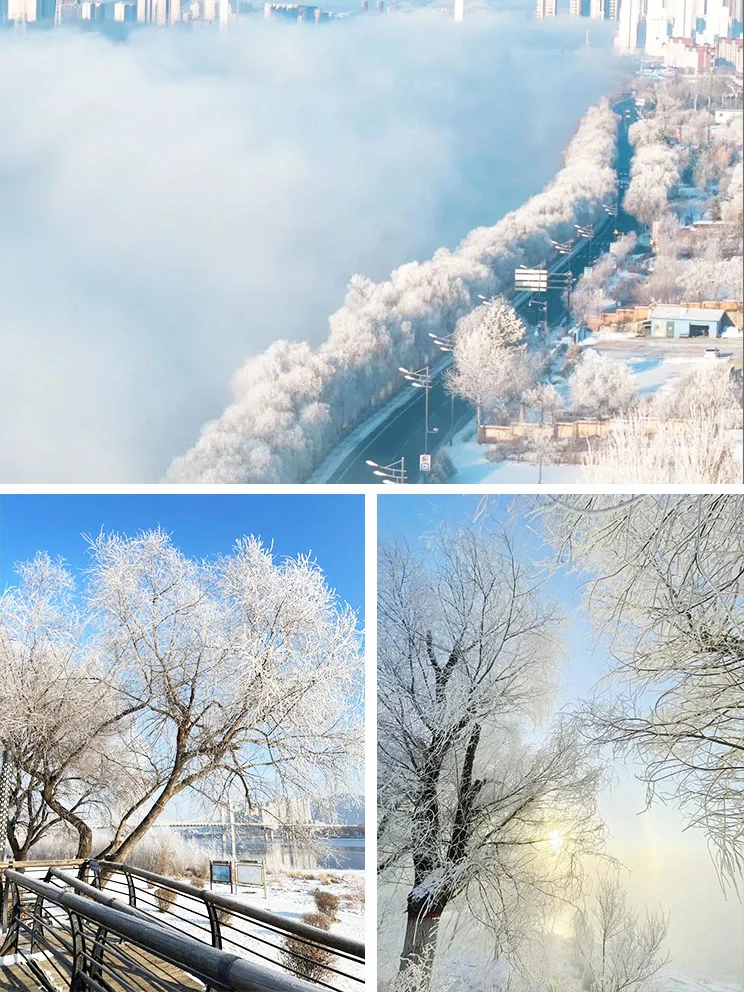 东北旅游全攻略‼️第一次去这样玩就对了