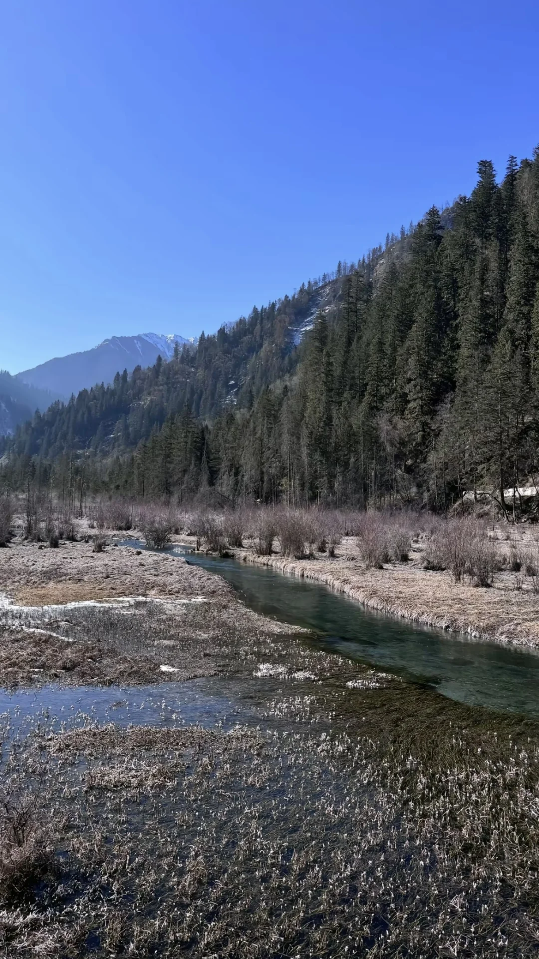 1.26📍九寨沟实拍直出，要去的赶紧听劝。。