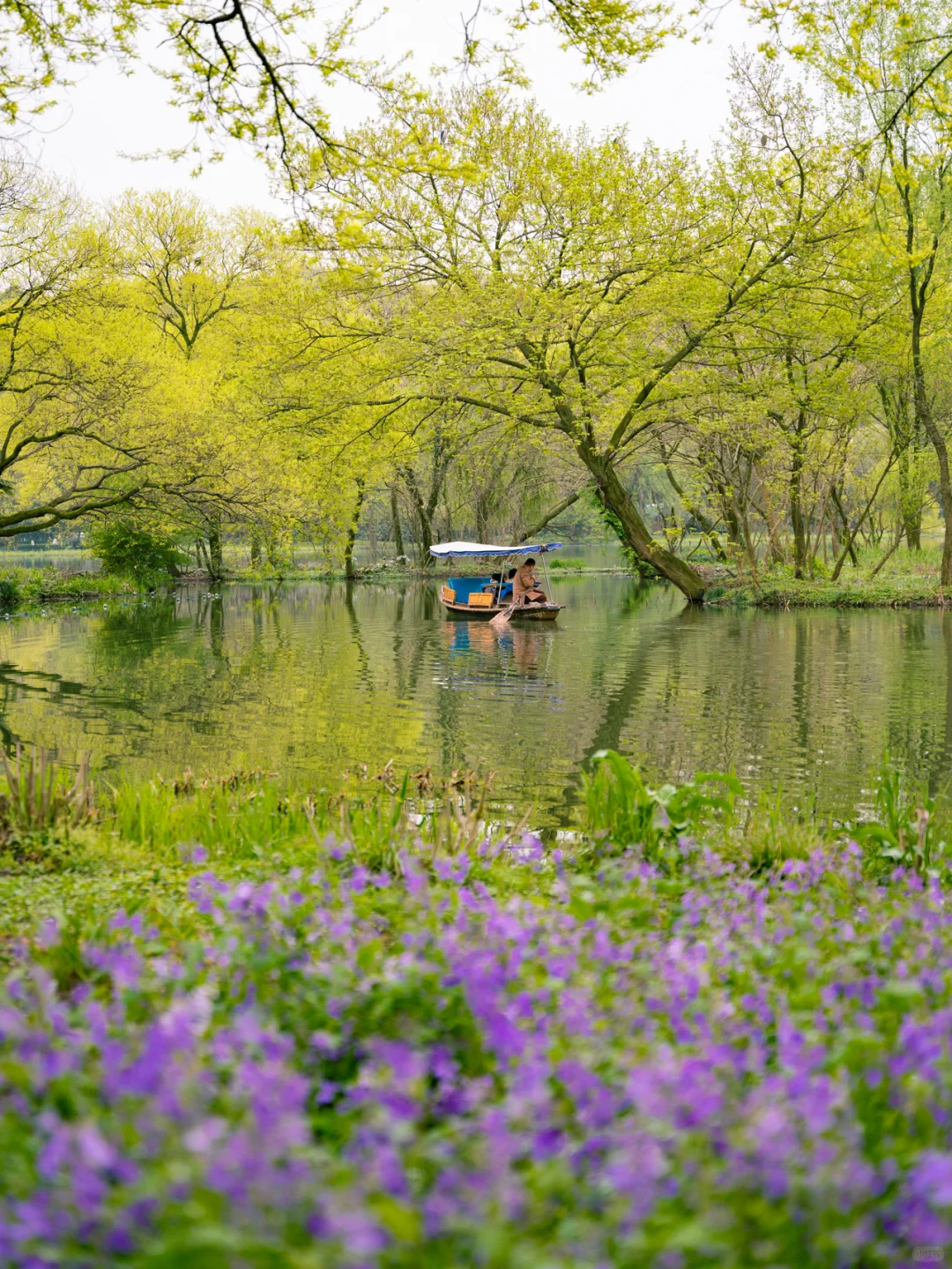 Welcome to Hangzhou-杭州的春夏秋冬