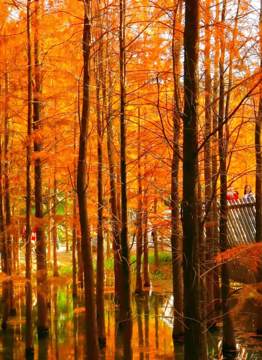 听劝，福州会惩罚每一个不做攻略的人❗