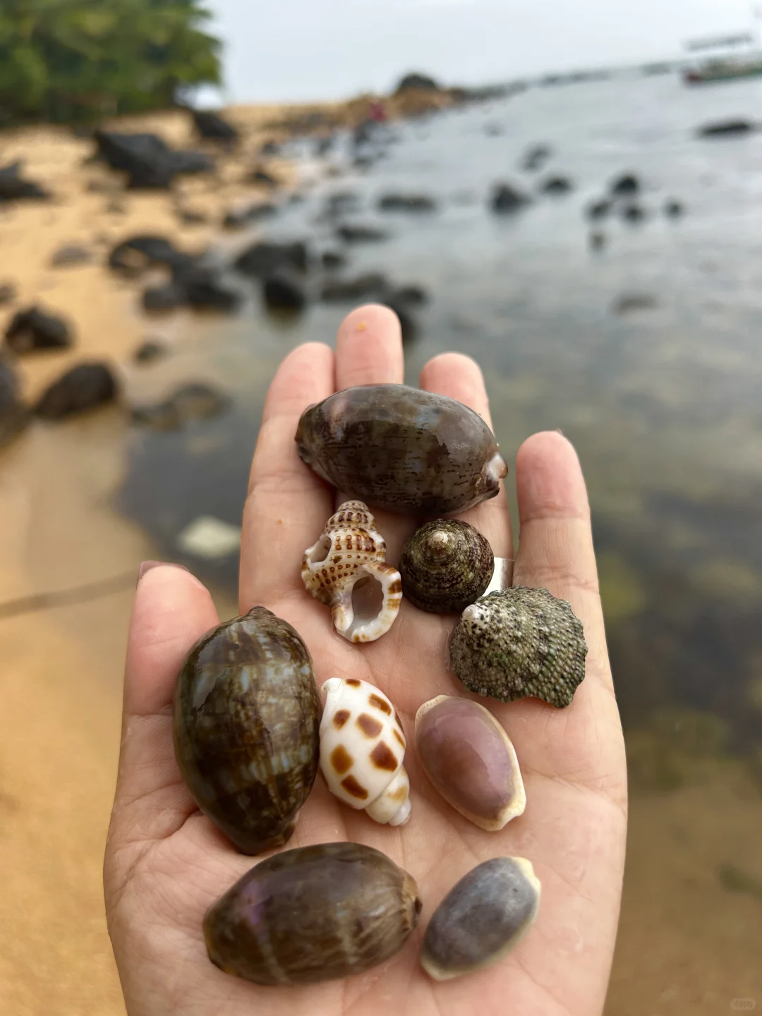 万宁2个赶海圣地🦀本地人都不知道的