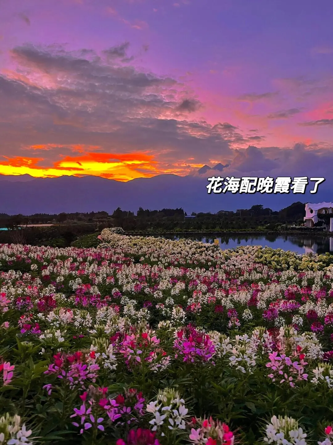 丽江淡季来了😭真的是游客天堂‼️