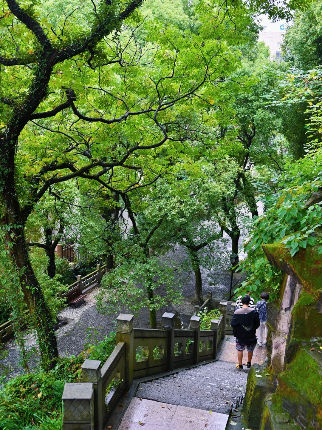 半天逛完浙江余姚7个景点的懒人版citywalk