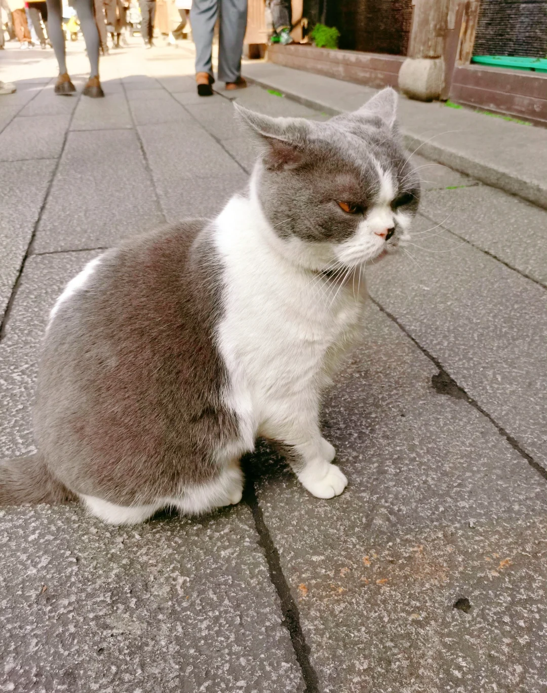 听劝，福州会惩罚每一个不做攻略的人❗