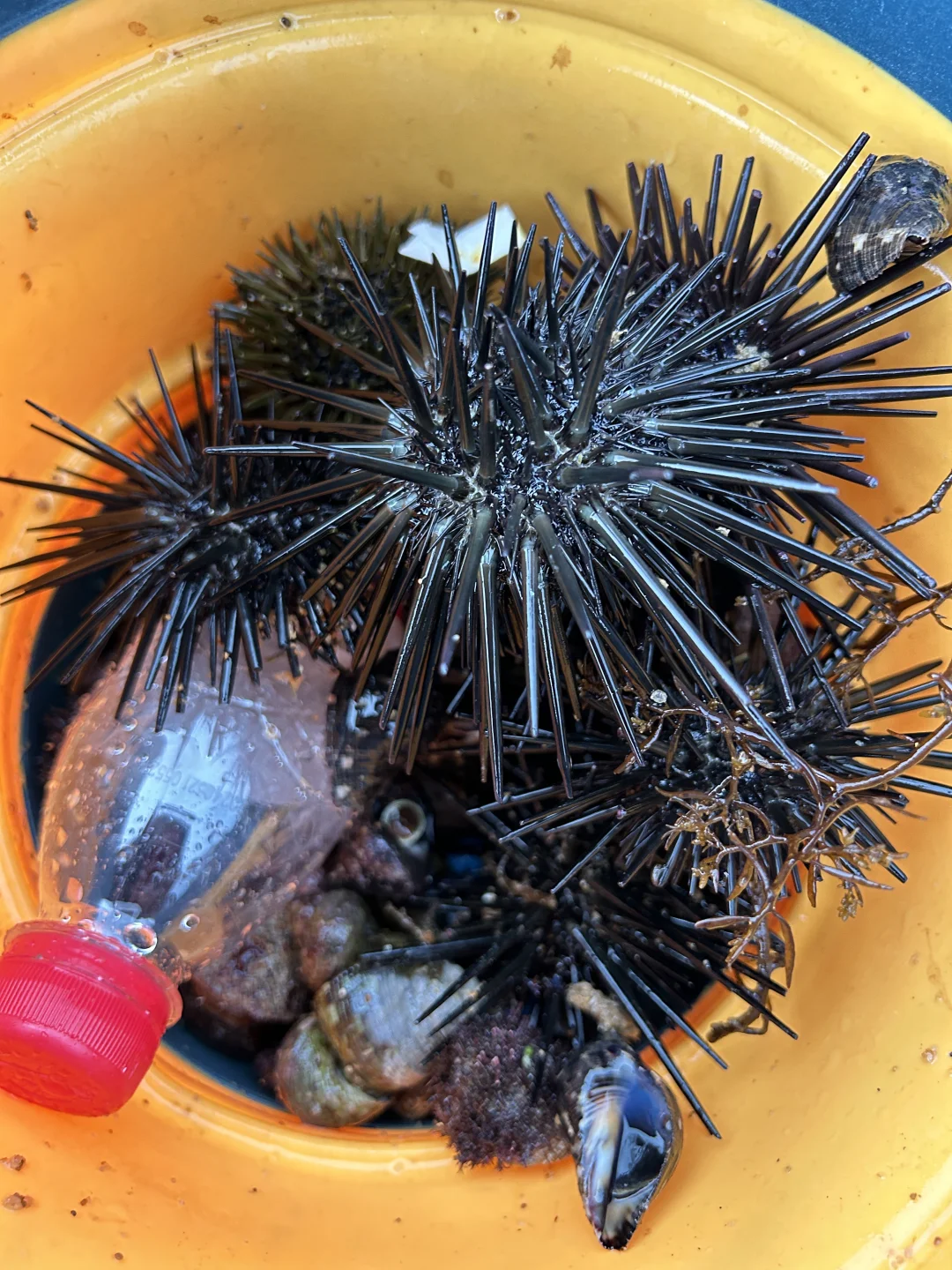 万宁2个赶海圣地🦀本地人都不知道的