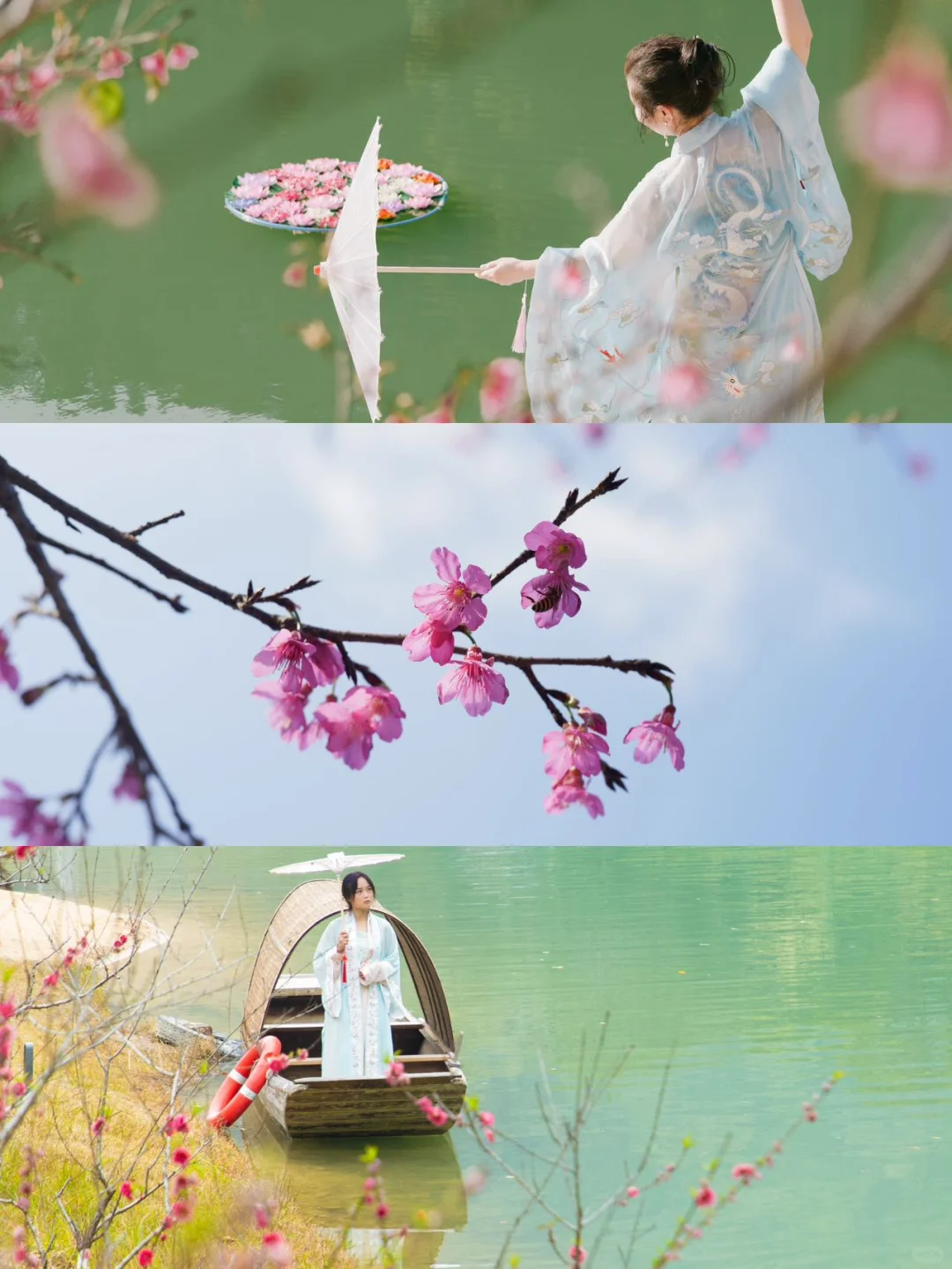 东莞1.5h🚗广州新春绝美赏樱路线分享🌸