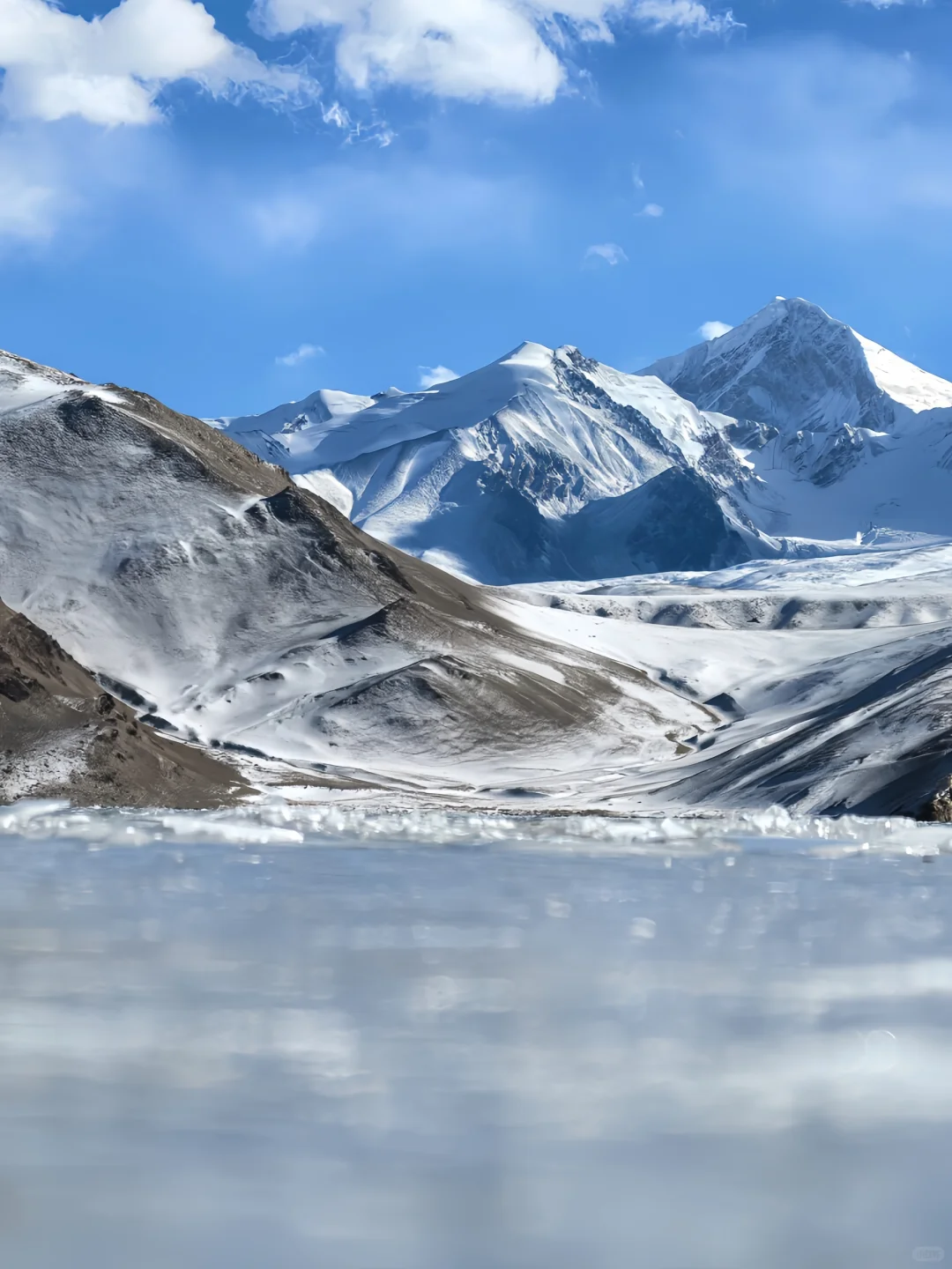 已经开始期待3-4月南疆的杏花啦！