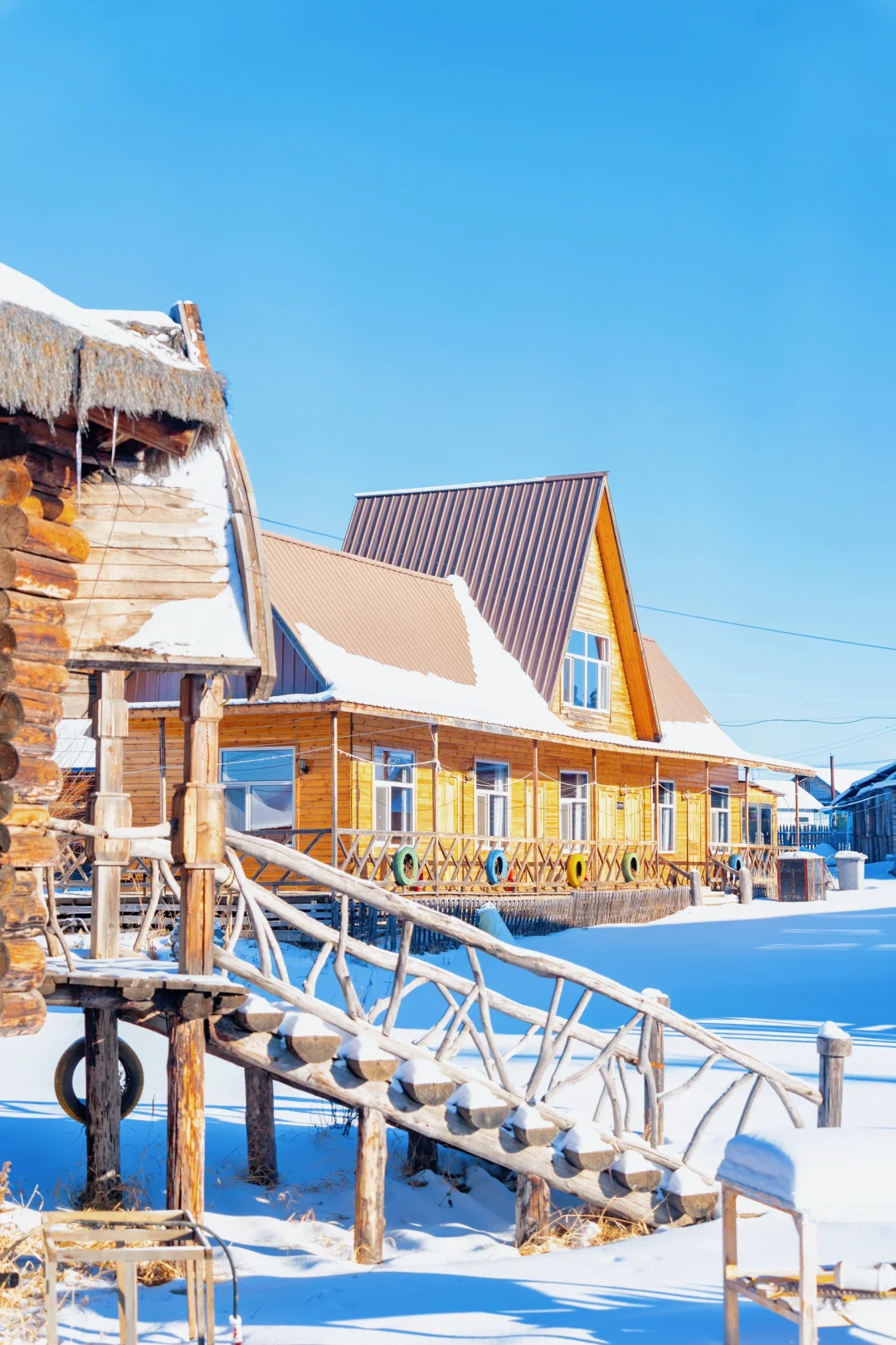 人生建议：1-2月一定要去次淡季的呼伦贝尔！