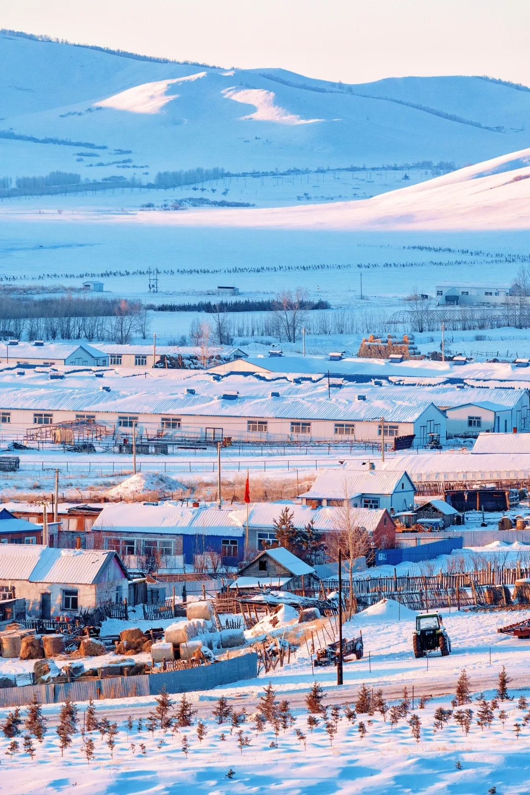 人生建议：1-2月一定要去次淡季的呼伦贝尔！