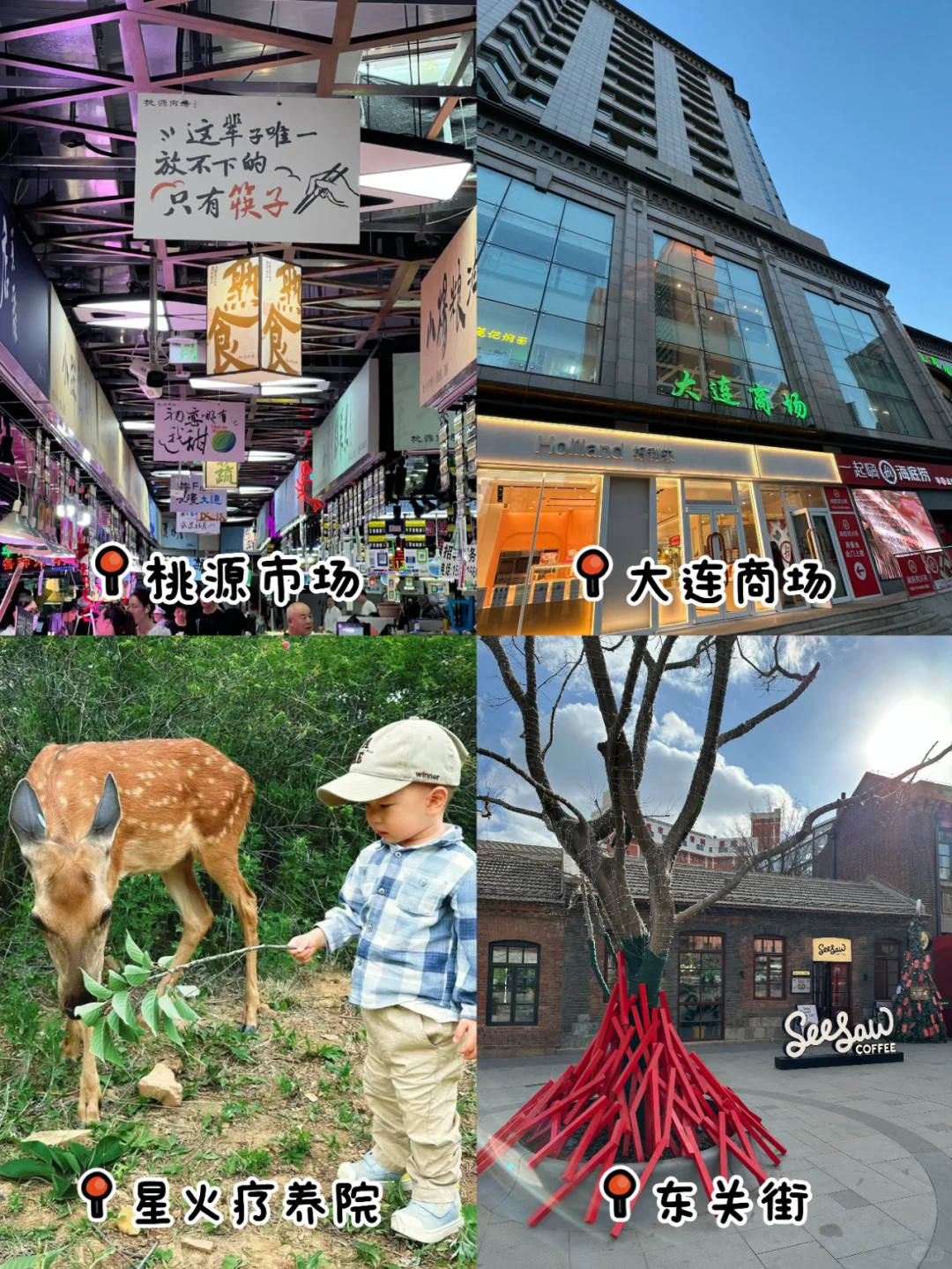 大连冬季旅游4-6日保姆级攻略｜春节去大连